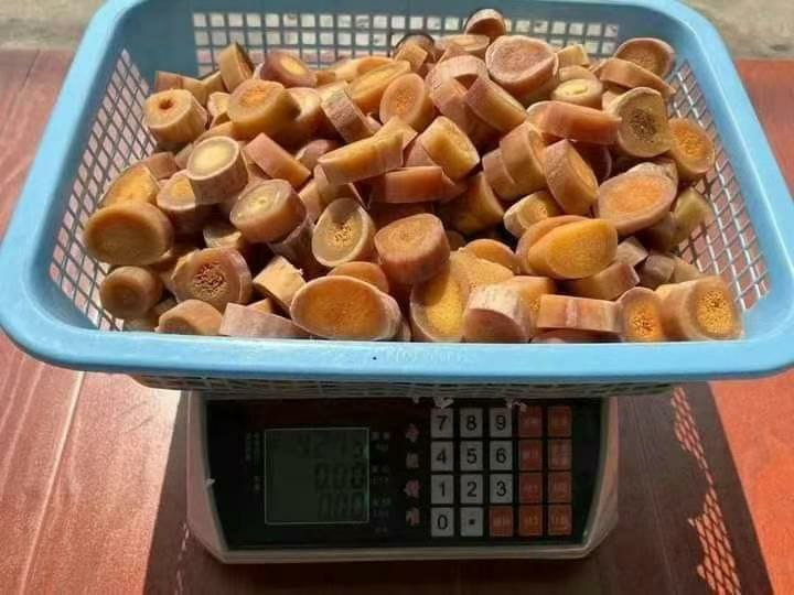 实心碎骨