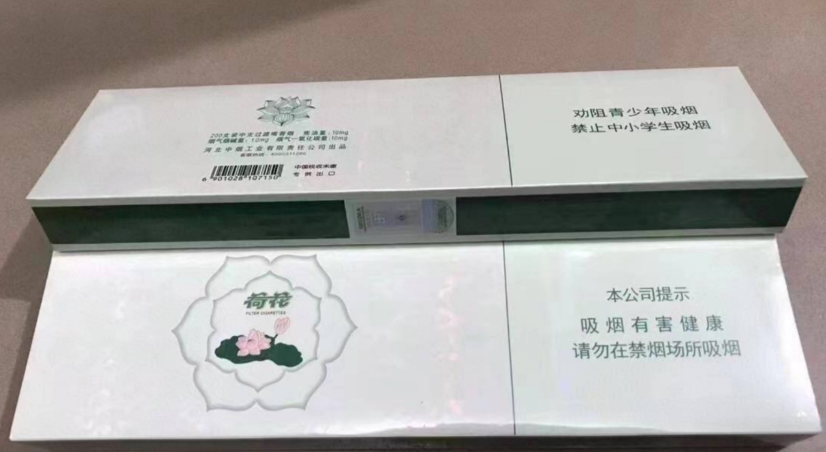 双中支 #荷花