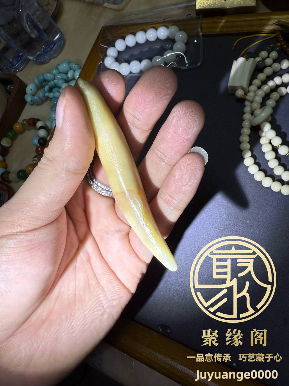 野生极品虎牙一颗